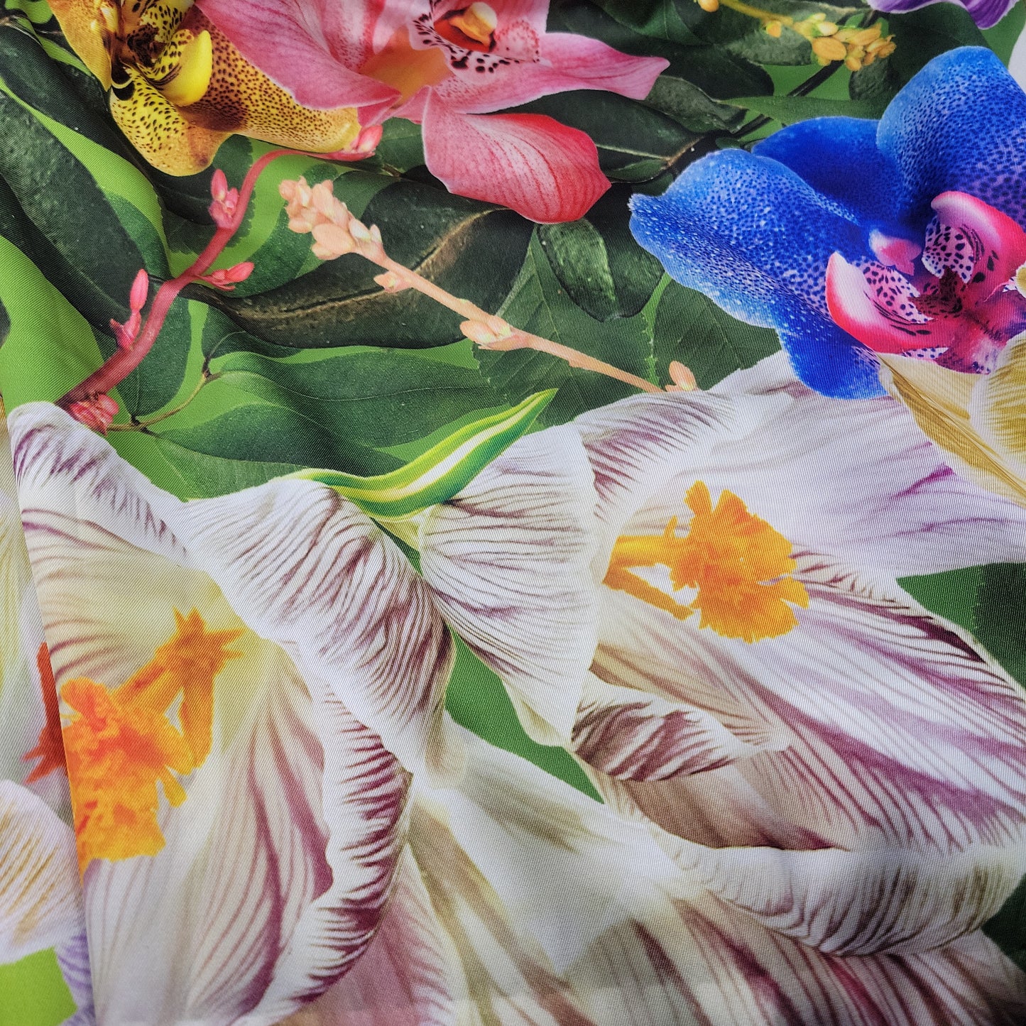 Wild Flower