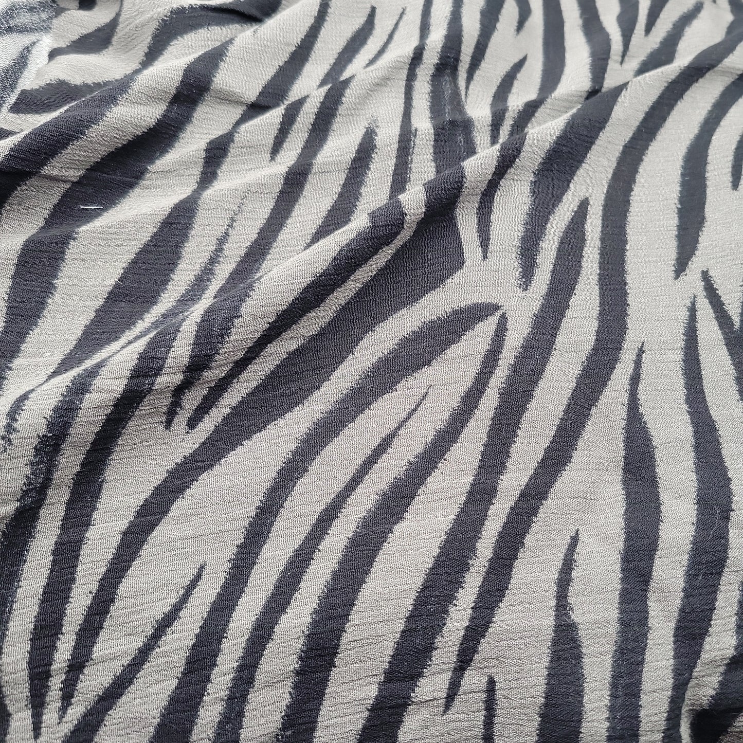 Dark Zebra