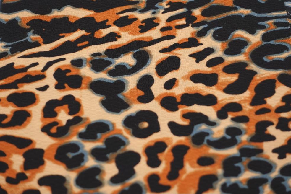 Blue Leopard